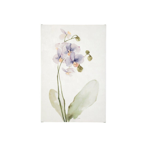 Orchid Canvas Series