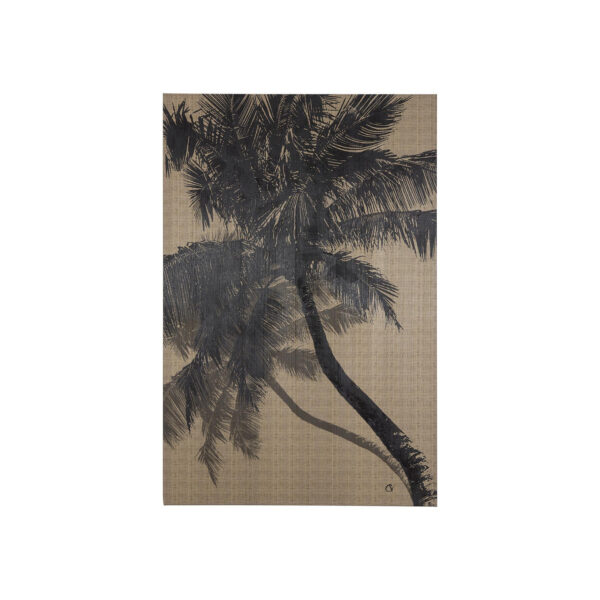 Palm Full Shadow Canvas Series
