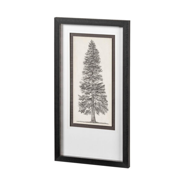 Pacific Northwest Tree Sketch Framed Series