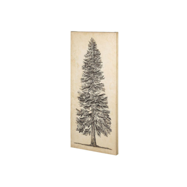 Pacific Northwest Tree Sketch Canvas Series