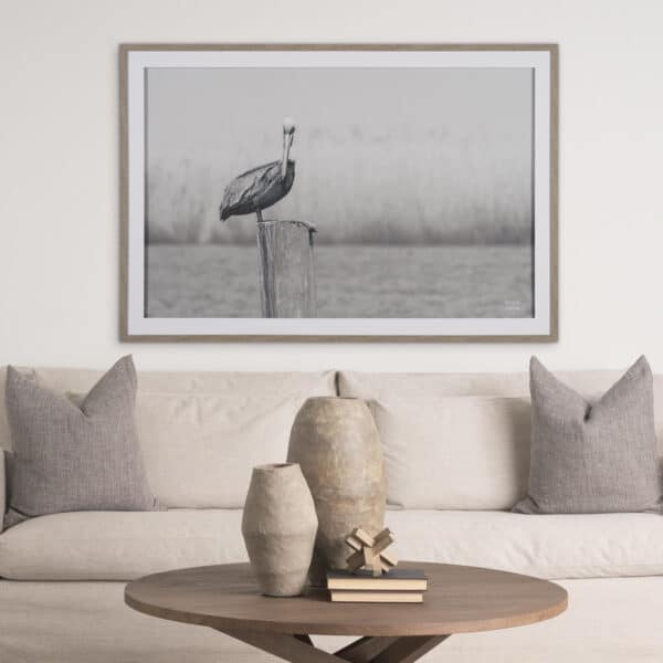 Pelican Stories by Nathan Larson