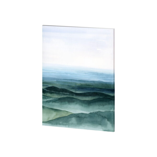 Plane View Canvas Series