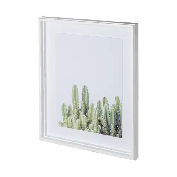 Cactus Photograph Framed Series