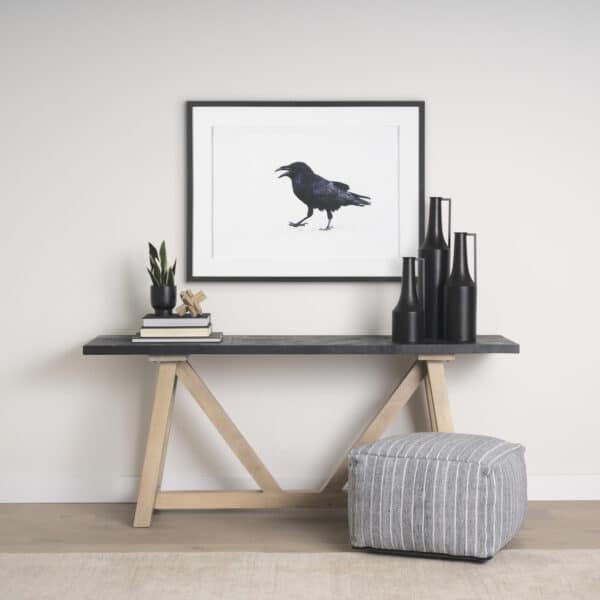 Raven Beauty by Gary Blatter