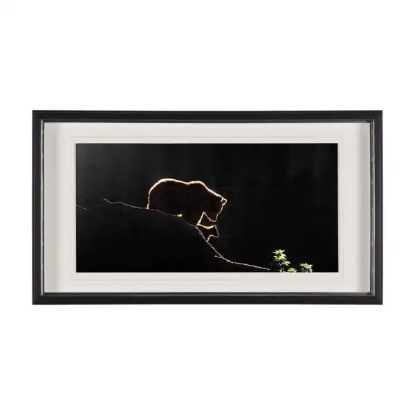 Woodland Animal Group Framed Series