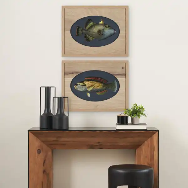 Vadum Piscis Fish Framed Series