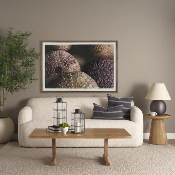 Purple Sea Urchins by Nathan Larson
