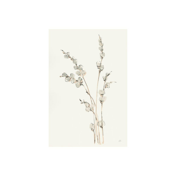 Summer Cotton Canvas Series