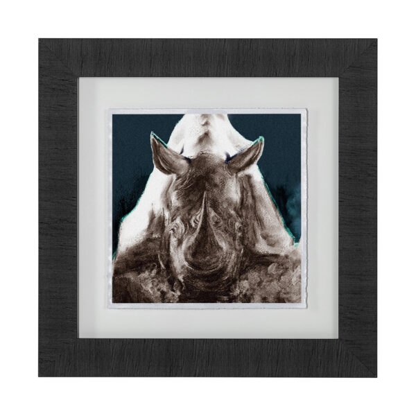 Rhino Framed Series