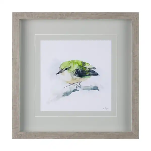 Watercolor Bird Sketch Framed Series