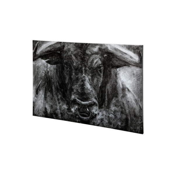 Ringo Canvas Series