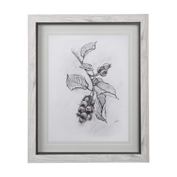 Wildberry Collection Framed Series