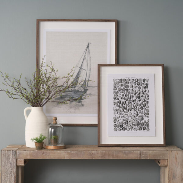 Sealife Framed Series
