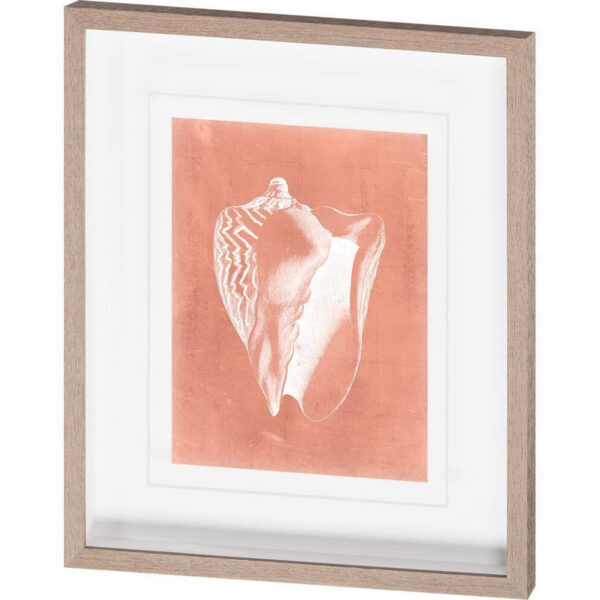 Sealife on Coral Framed Series