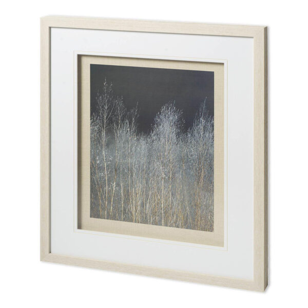Silver Forest Framed Series