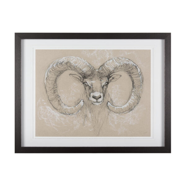Sketch of Animal Framed Series