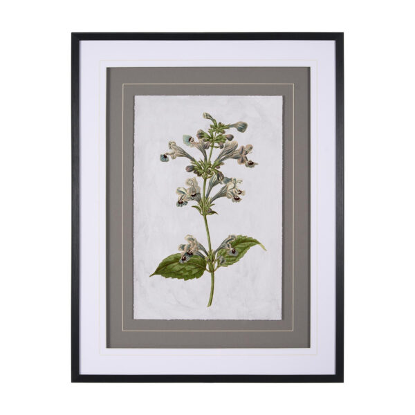 Soft Blue Botanicals Framed Series