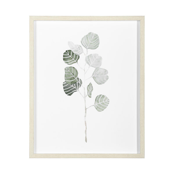 Soft Eucalyptus Branch Framed Series