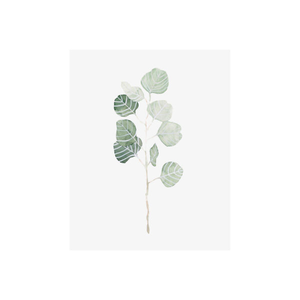 Soft Eucalyptus Branch Canvas Series