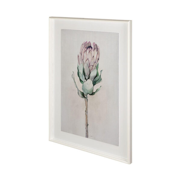 Sugarbush Framed Series