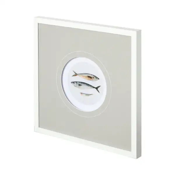 Couple of Fish Framed Series