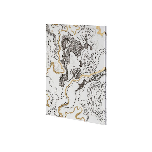 Topography Canvas Series