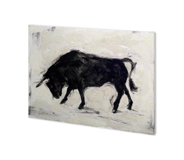 Toro Canvas Series