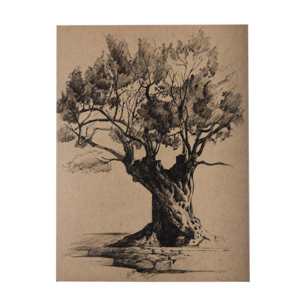 Tree Drawing Canvas Series