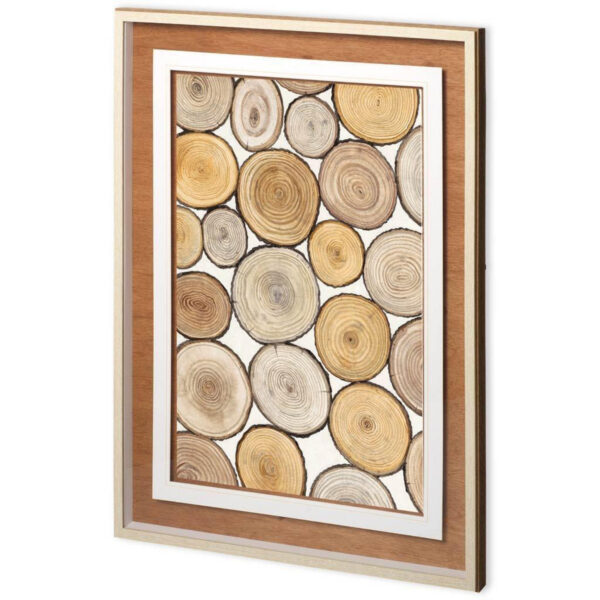 Tree Ring Study Framed Series