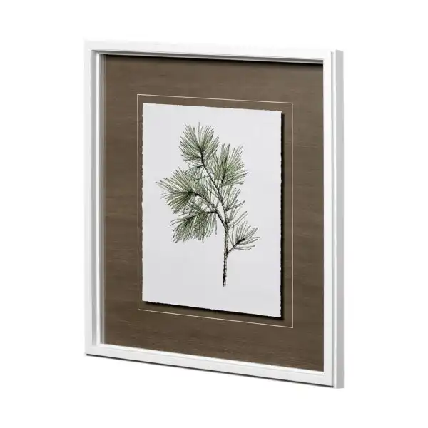 Douglas Framed Series