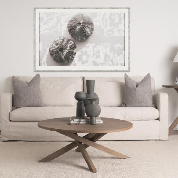 Urchins in Lace I by Deborah Revell