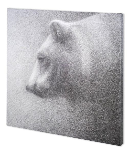 Wake Up in the Night Canvas Series