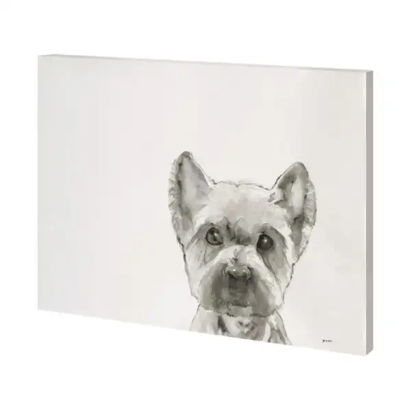 Walk Time Canvas Series