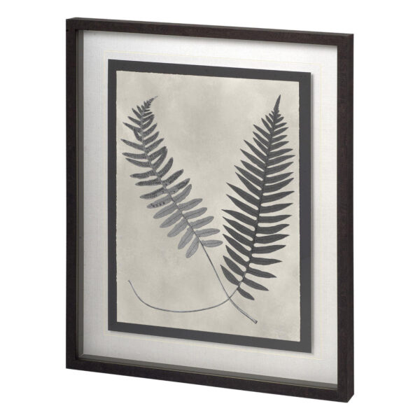 Vintage Fern Study Framed Series