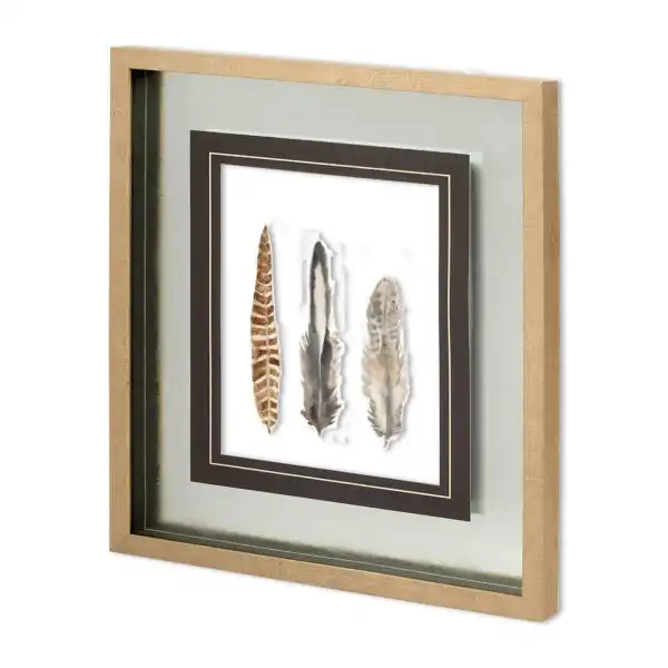 Watercolor Plumes Framed Series