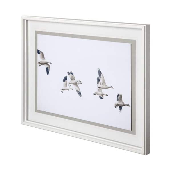 Winged Migration by Nancy Crowell