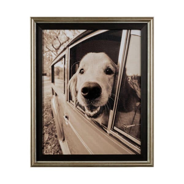 Where You Go by Jim Drafield