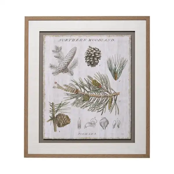 Woodland Chart Framed Series