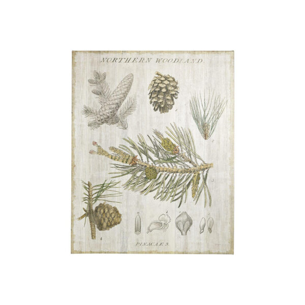 Woodland Chart Canvas Series