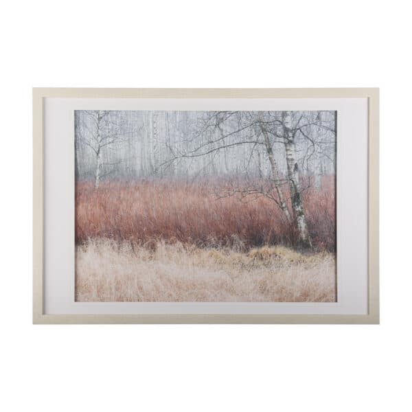 Woodland Pastels by Mercana Studio