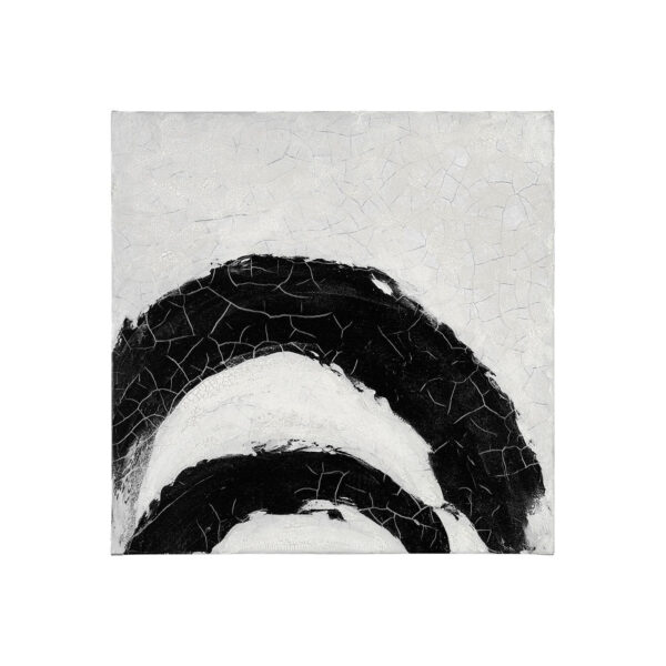 Ying Yang Canvas Series