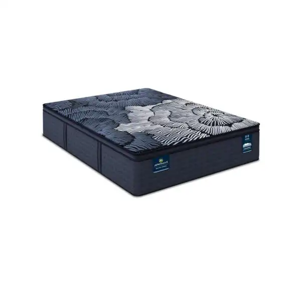 PSX 24 Max PT