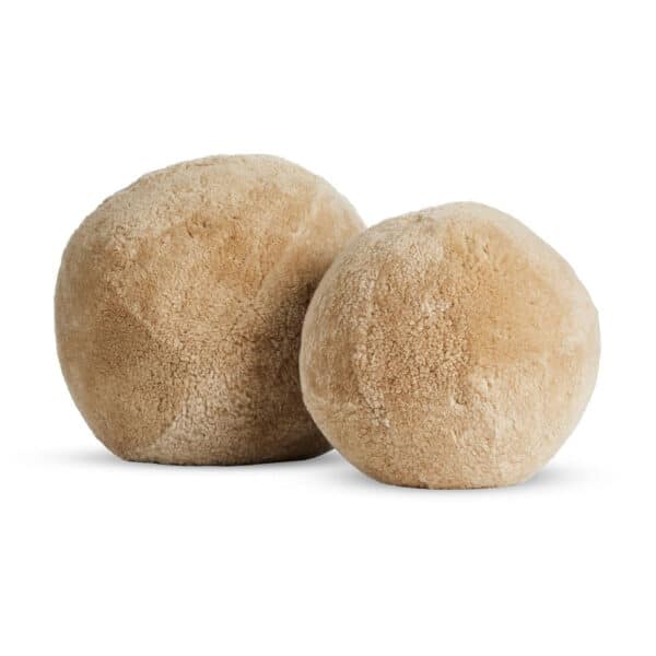 Balle Shearling 12" Pillow Set