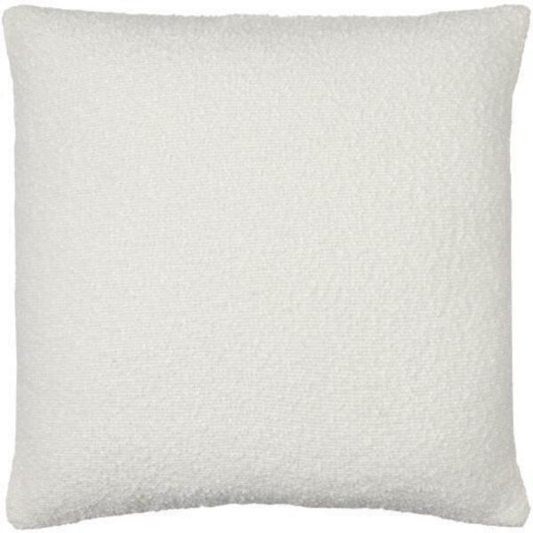 Eesha 20″x20″ Accent Pillow