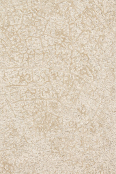 Juneau Antique Ivory/Beige Rug