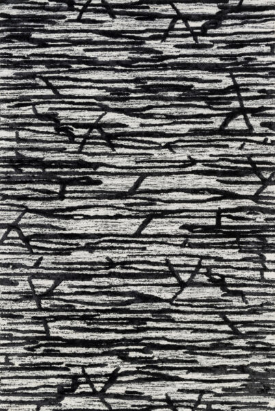 Juneau Ivory/Black Rug 