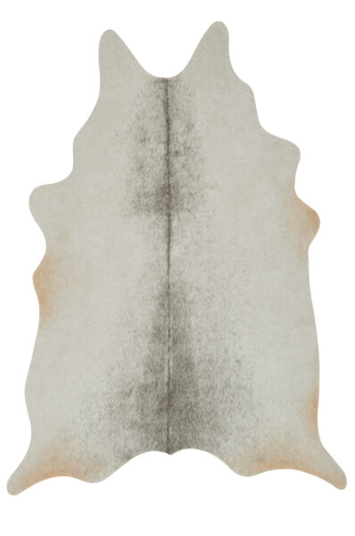 Grand Canyon Silver/Grey Rug