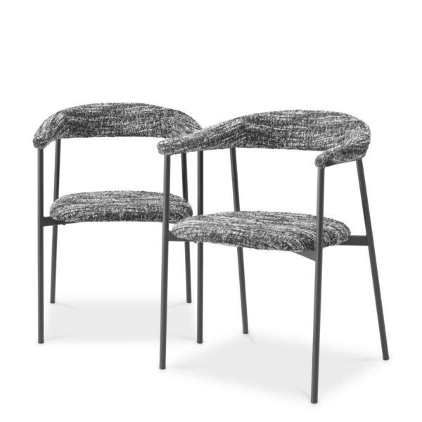 Julio Dining Chair, Set of 2