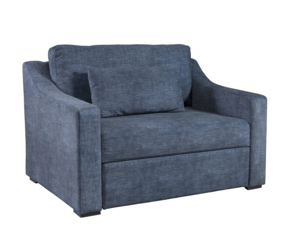 Wave Chair and a Half Sleeper