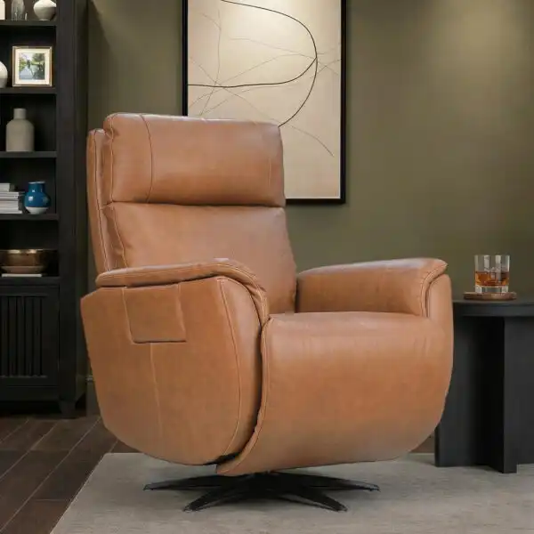 Zen Series Cove Power Recliner